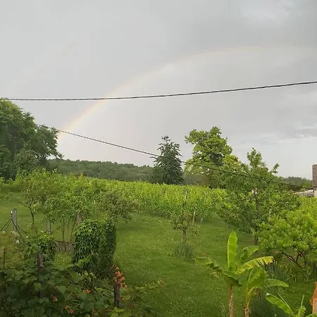 Apartma Silvia * Metlika