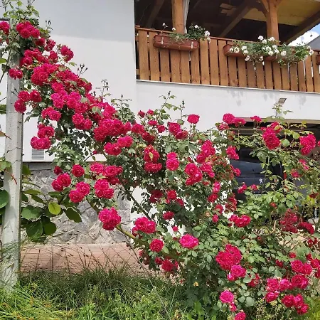 Apartamento Apartma Silvia