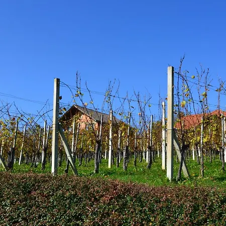 Apartma Silvia Apartamento Metlika