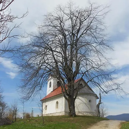 Apartma Silvia Metlika