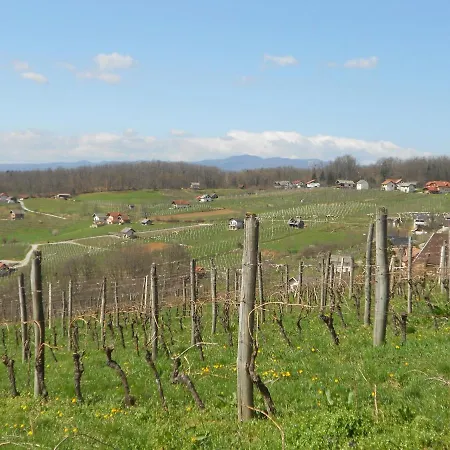 Daire Apartma Silvia *