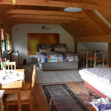 Apartma Silvia * Metlika