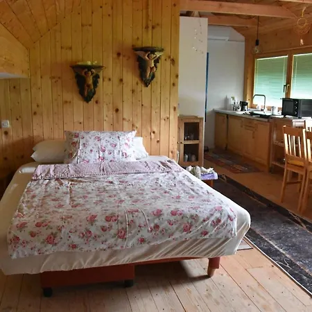 Apartma Silvia * Metlika