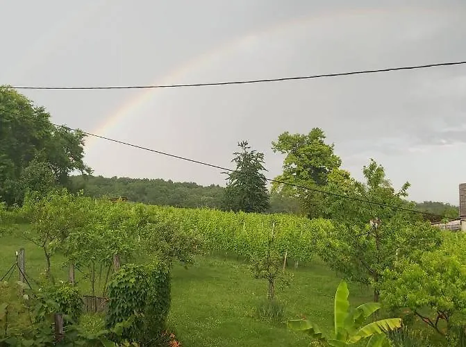 Apartma Silvia * 메틀리카