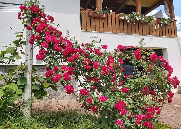 아파트 Apartma Silvia