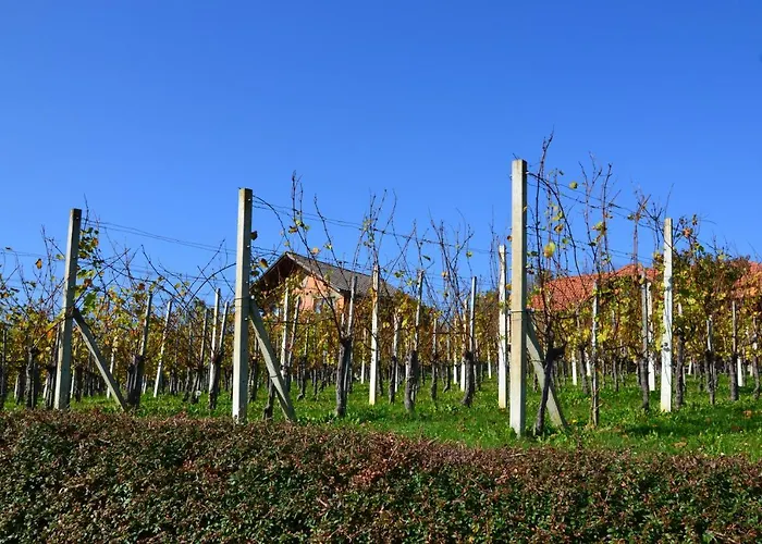 Apartma Silvia 아파트 메틀리카