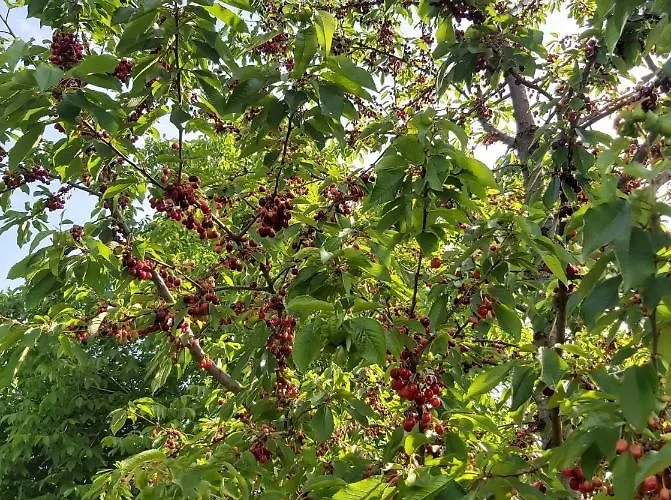 아파트 Apartma Silvia 메틀리카