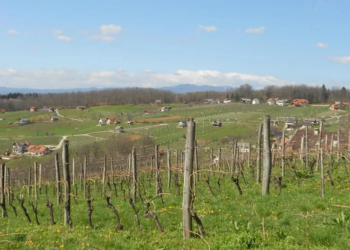 아파트 Apartma Silvia *